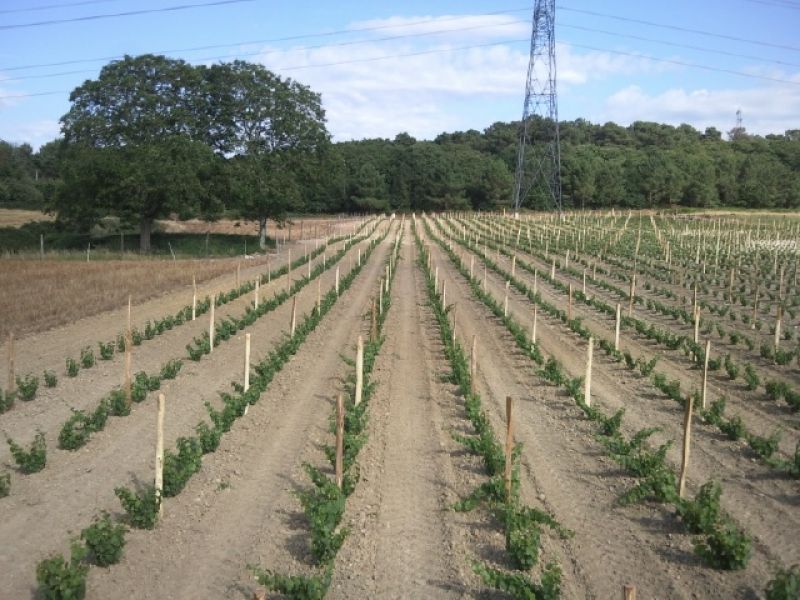 Une saison au domaine